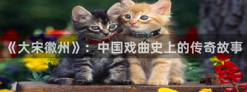 金桔视频大全：《大宋徽州》：中国戏曲史上的传奇故事