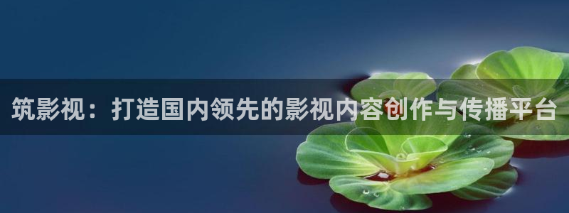 金桔影视下载安装视频