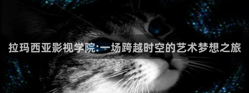 金桔视频下载
