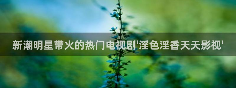 金桔种植视频
