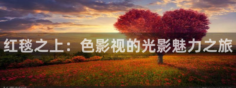金桔影院