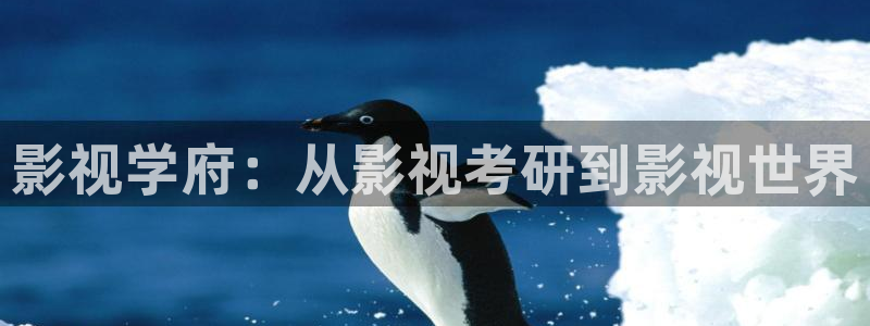 金桔影院：影视学府：从影视考研到影视世界